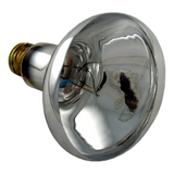 34600-0005: Sta-Rite/Pentair Swimquip Reflector Flood Lightbulb 100w 12v