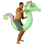 Pool Candy Ride-On Seahorse Pool Noodle
