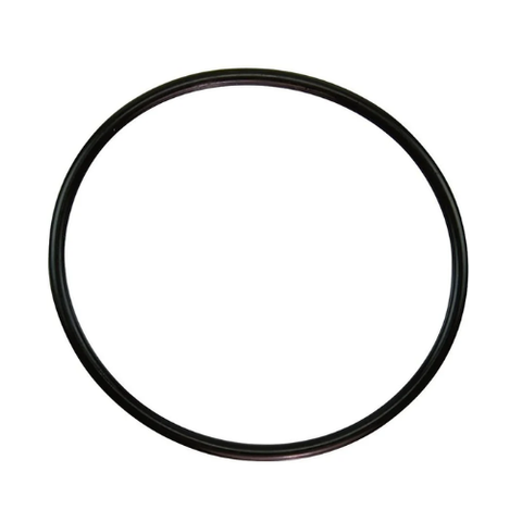 350013Z: Pentair Cover O-Ring, compatible with ALL Pentair IntelliFlo Pumps