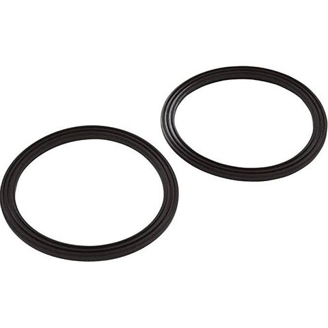 Pentair Union Diamond Seal Kit (2-Pack) - 2.5" | 410016Z