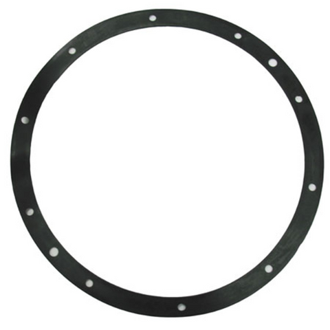Pentair 10-Hole Niche Gasket - For Large Stainless Steel Vinyl Niches (3-Pack) |  79200400