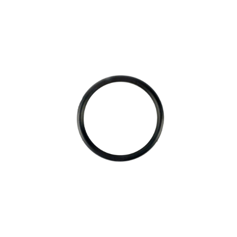 Praher E331 O-Ring for 2" Union – Replacement Seal for 200-903