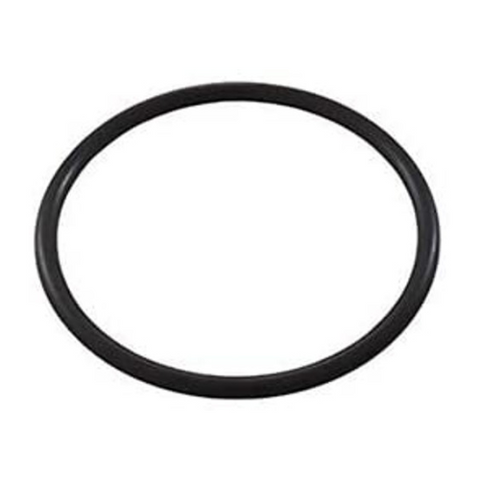 Jandy AquaPure Union O-Ring