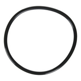 R0480200  Jandy - Lid O-Ring, FHP