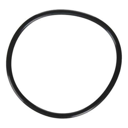 Jandy/Zodiac Pump Lid Locking Ring Assembly with O-Ring for