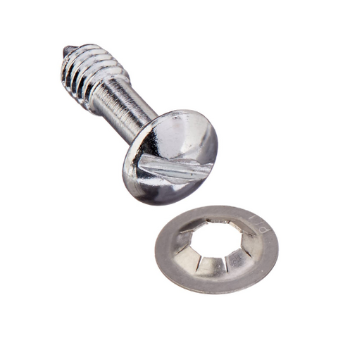 Hayward Face Rim Lockscrew with Washer
