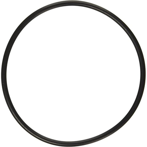 Hayward Strainer Cover O-Ring - For UltraPro & PowerFlo Pumps| SPX1500P