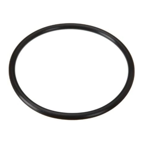 Hayward Strainer Cover O-Ring