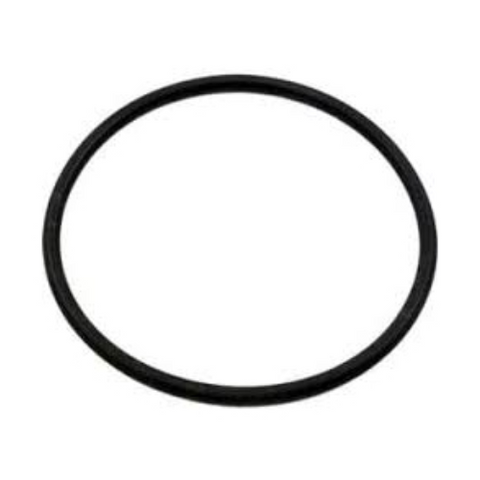 SX220Z2: Hayward SwimClear Bulkhead O-Ring