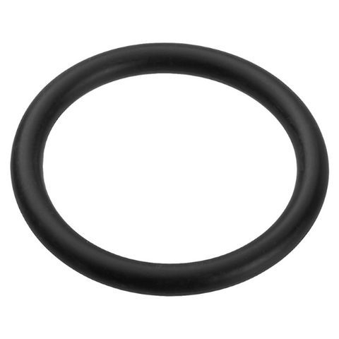 Pentair Drain Cap/Thermal Regulator O-Ring - For Filters & Heaters | U9-371