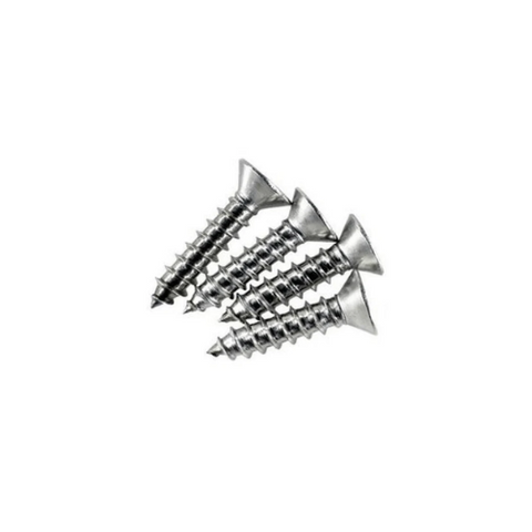 14203301R4 Jacuzzi inlet stainless steel screw