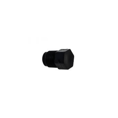 Polaris 1/8" NPT Plastic Plug - For PB4-60 Booster Pump | P20