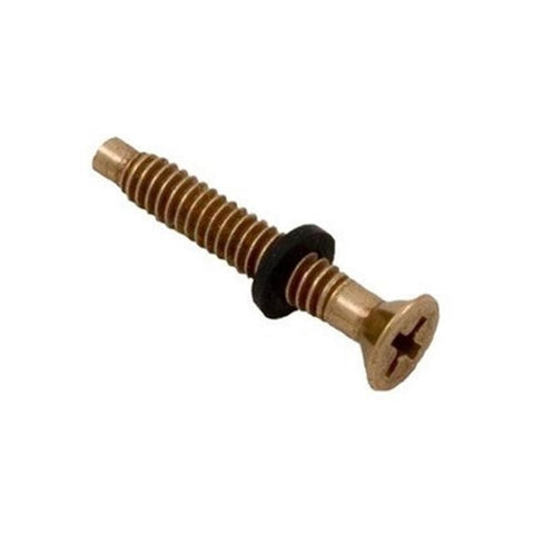 79104800Z OB: Pentair Brass Pilot Screw w/ Captive Gum Washer - Missing Washer