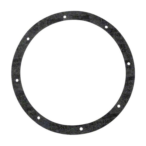 Pentair American 8-Hole Gasket Set (2-pack) - For Stainless Steel Niches | 79200300